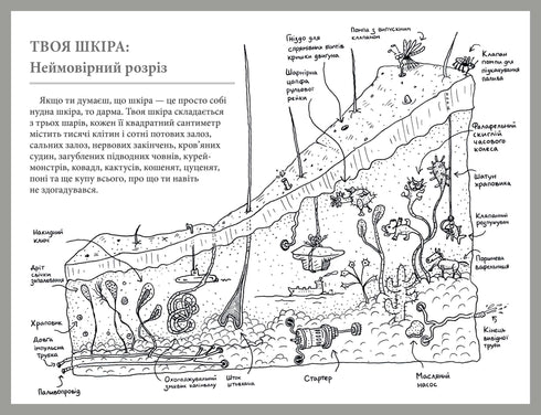 Che tipo di organo è questo? Una sciocca guida all'anatomia del tuo corpo